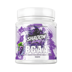 PREMIUM BCAAs 2:1:1