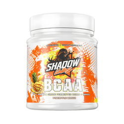 PREMIUM BCAAs 2:1:1