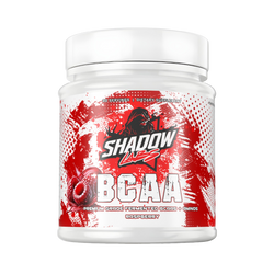PREMIUM BCAAs 2:1:1
